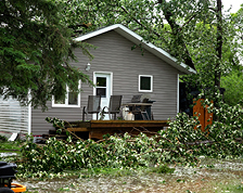 Piles of fallen trees and tree branches rest next to a backyard deck.